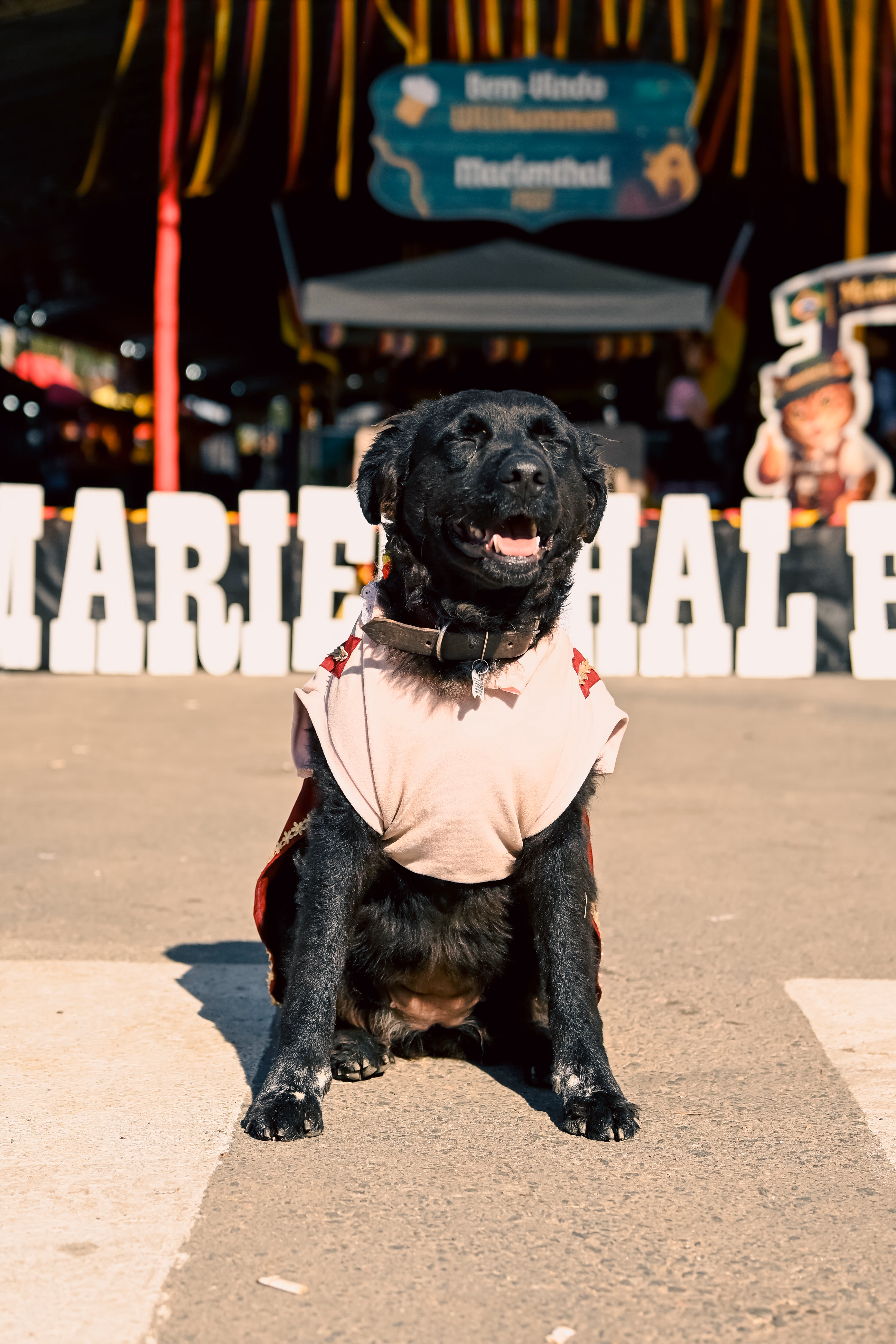 Marienthal Fest em Mariental, Lapa/PR — foto 4